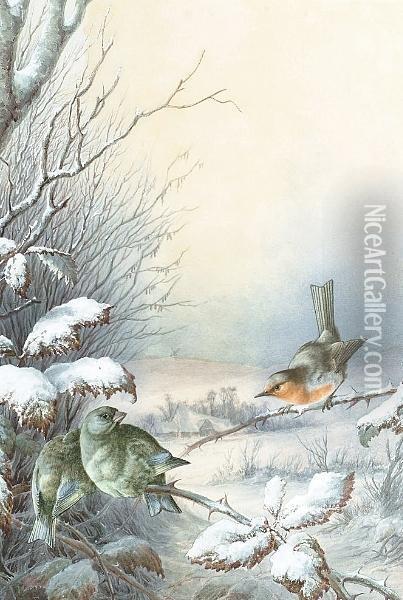 A Robin And A Greenfinches In A Snowy Hedgerow, A Winter Landscape Beyond Oil Painting - Harry Bright