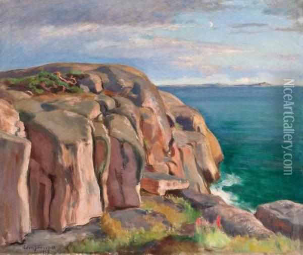Cliffs On The Shore Of Kaivopuisto Oil Painting - Eero Jarnefelt