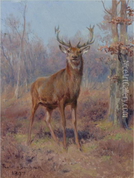 Young Stag In A Wooded Landscape Oil Painting - Rosa Bonheur