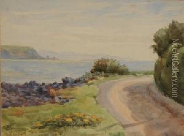Coastal Road. Oil Painting - Margaret Olrog Stoddart