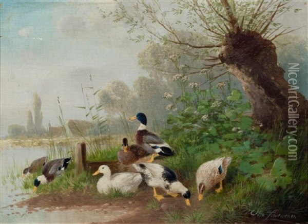 Ducks At A Pond Oil Painting - Otto Scheuerer
