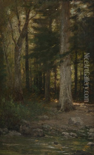 Catskill Pond, Pond In A Forest Interior Oil Painting - Arthur Parton