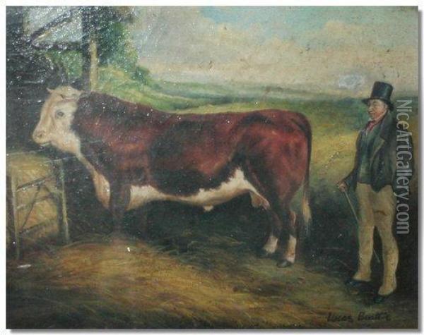 Study Of A Bull In Abarn Oil Painting - A. Beattie