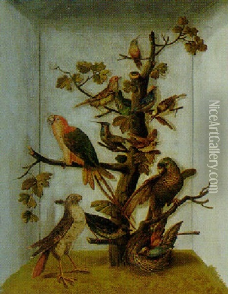 Study Of Parrots And Other Birds In An Aviary Oil Painting - Peter Paillou