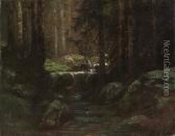 A Stream In The Forest Of Fontainbleau Oil Painting - Gustave Dore