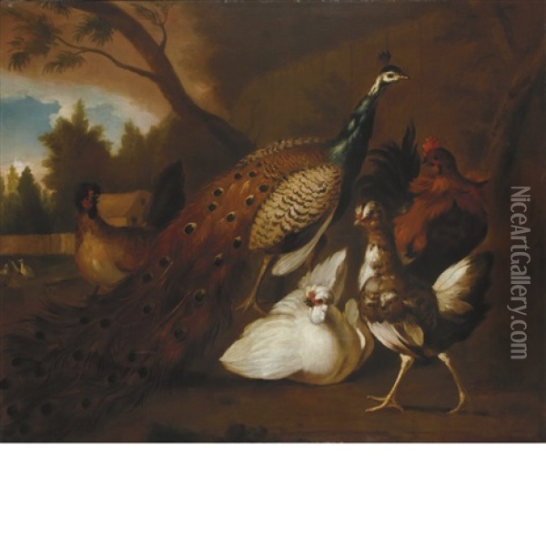 Peacock, Chickens And Other Birds In A Landscape Oil Painting - Melchior de Hondecoeter