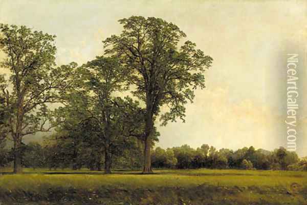 The Spring Field Oil Painting - John William Casilear
