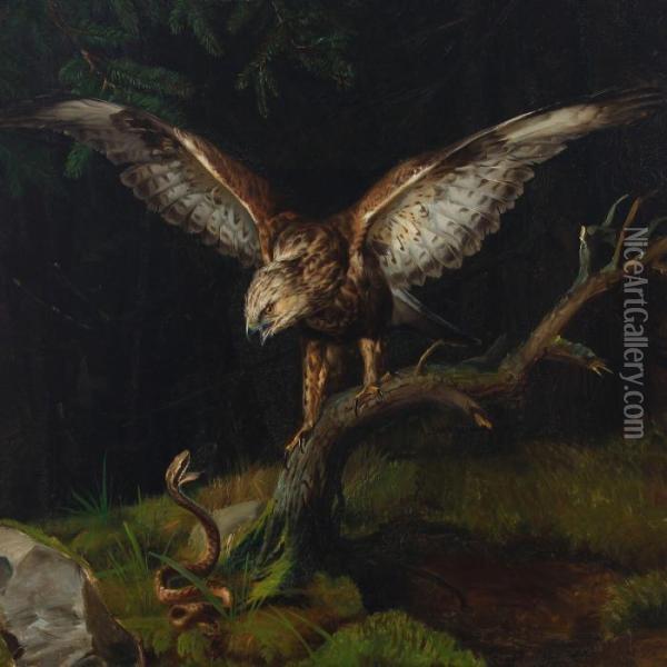 A Common Buzzard And A Viper Oil Painting - Niels Peter Rasmussen