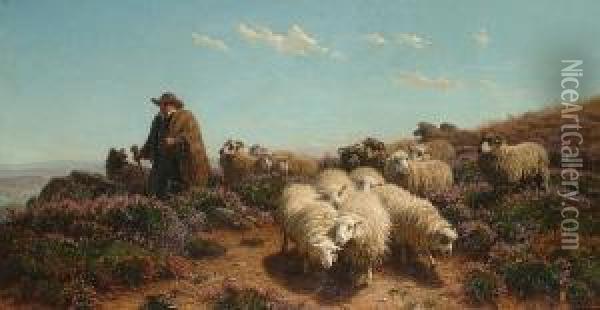 A Shepherd And His Flock Amongst Heather Oil Painting - August Friedrich Schenck