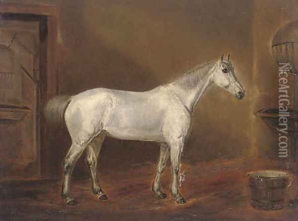 A grey hunter in a stable Oil Painting - English School