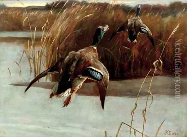 Taking flight Oil Painting - Alfred Duke