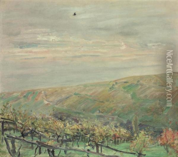 Landschaft Mit Fliegendem Vogel (blick Ins Leinsweiler Tal Imherbst) Oil Painting - Max Slevogt
