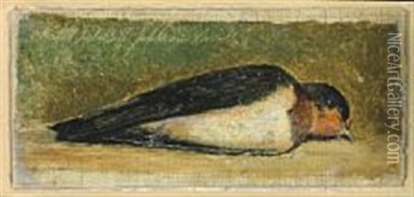 Study Of A Dead Swallow Oil Painting - Johan Thomas Lundbye