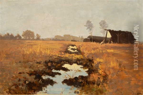 The Marshland Near Dachau Oil Painting - Josua Von Gietl