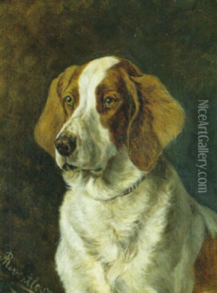 Hundeportraet Oil Painting - Adeline von Reventlow