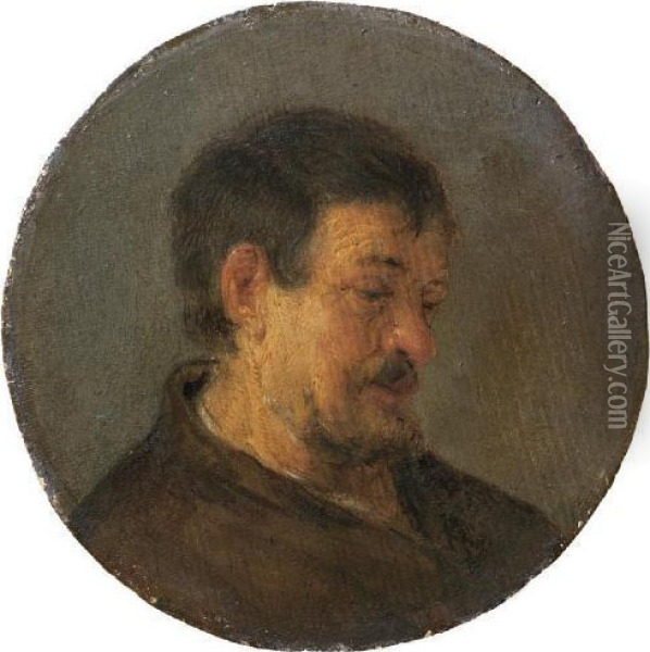 Head Of A Man Oil Painting - Adriaen Jansz. Van Ostade