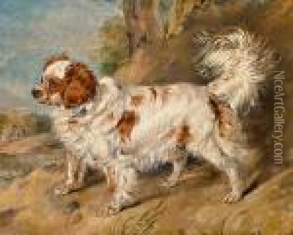 A Dog Of The Marlborough Breed Oil Painting - Landseer, Sir Edwin