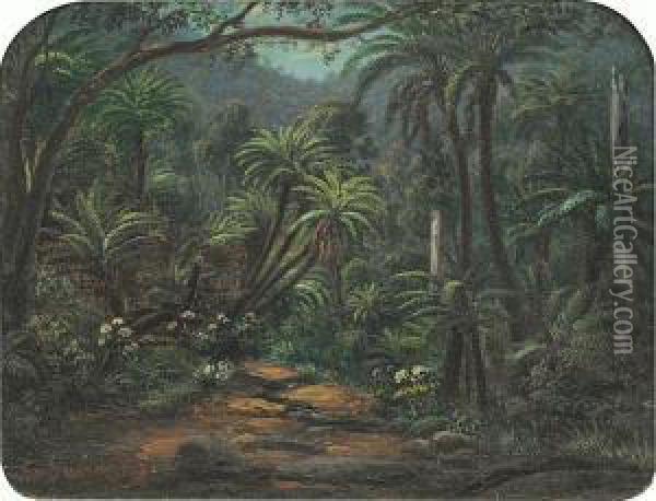 Ferntree Gully In The Dandenong Ranges Oil Painting - Eugene von Guerard