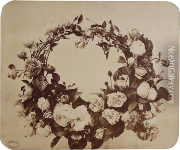 Etude De Fleurs Oil Painting - Adolphe Braun