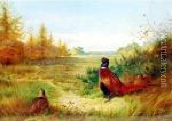 Pheasants At The Forest Edge With The Hunt In The Distance Oil Painting - Archibald Thorburn