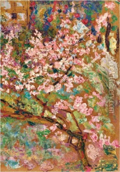 Cerisier Au Printemps Oil Painting - Victor Charreton