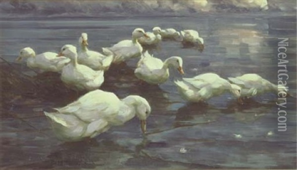 Enten Am Seeufer - Ducks On The Lake Shore Oil Painting - Alexander Max Koester