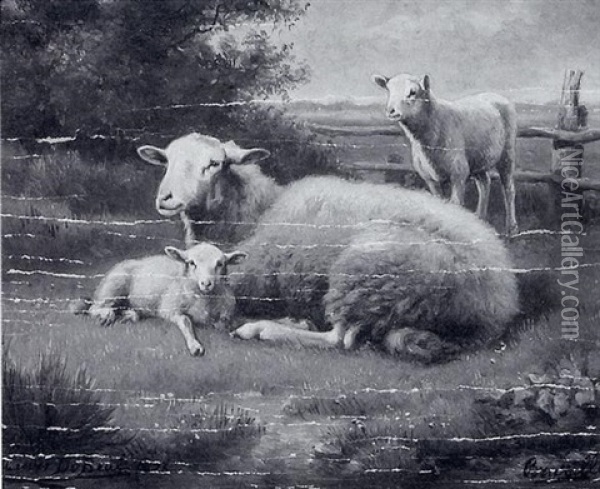 Schaf Und Zwei Lammer Auf Der Weide Oil Painting - Henri De Beul