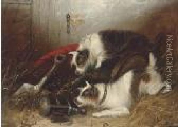 Terriers In A Barn; And Terriers Ratting Oil Painting - George Armfield