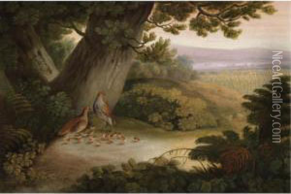 Partridges And Their Chicks In A Landscape Oil Painting - Stephen Elmer