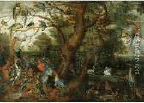 A Concert Of Birds Oil Painting - Jan Brueghel the Younger