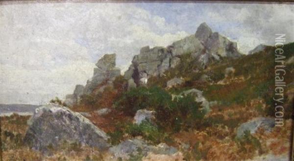 Rocher A Fontainebleau Oil Painting - Alexandre Desgoffe