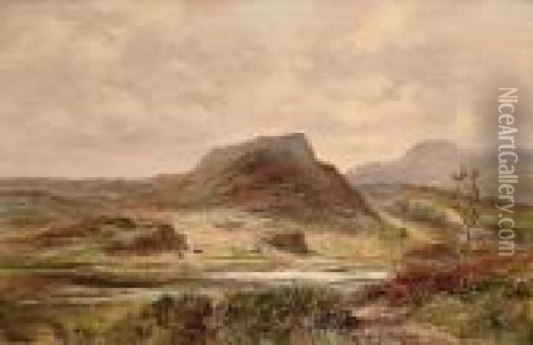 An Extensive Moorland Landscape Oil Painting - Abraham Hulk Jun.