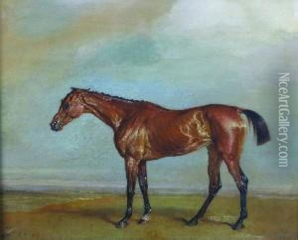 Lord Exeter's Augusta, Newmarket Oil Painting - James Ward