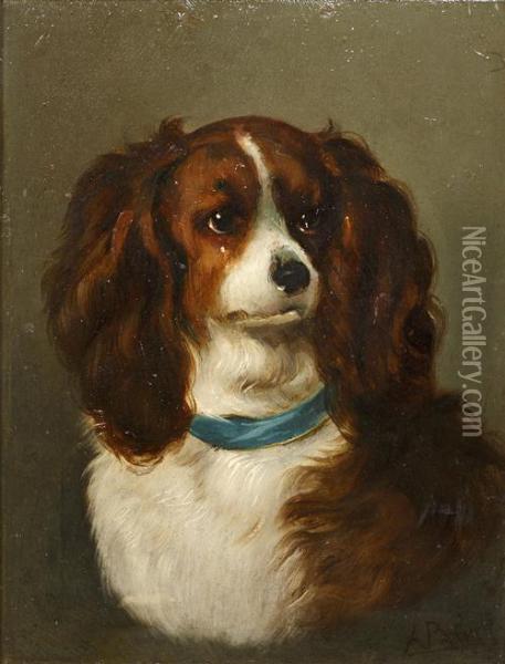 King Charles Spaniel Oil Painting - Ada Palmer