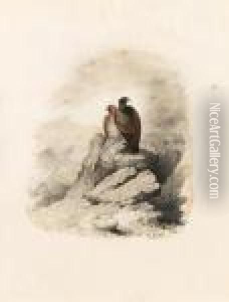 A Pair Of Birds Of Prey On A Rocky Outcrop Oil Painting - Edward Lear