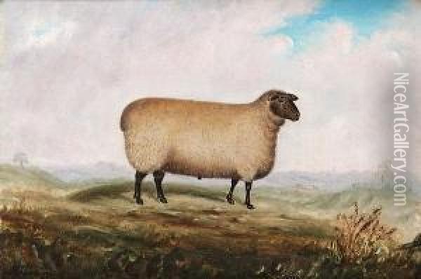 A Prize Southdown Ram; A Prize Southdown Ewe, Bred By Earl Guilford Of Waldershare In Kent Oil Painting - Austin Neame
