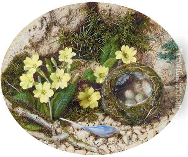 Primroses, a crocus and a bird's nest, on a mossy bank Oil Painting - John Sherrin