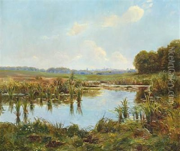 Scene From The Bog Near Skodsborg Oil Painting - Carl Carlsen