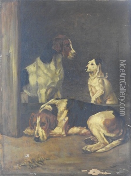 Foxhounds And A Terrier Oil Painting - Wright Barker