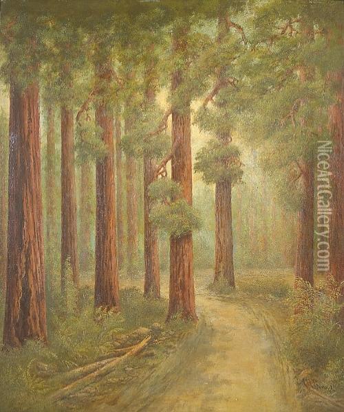 A Road In The Redwoods Oil Painting - Alphonso Herman Broad