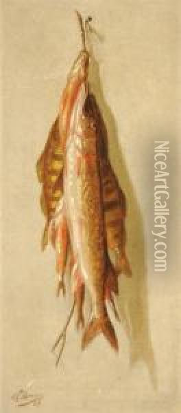 Still Life Of Trout Trophy Oil Painting - John Clinton Spencer