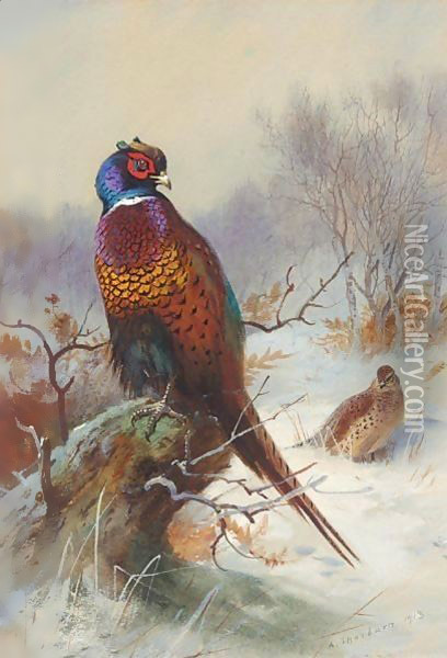 A Pair Of Pheasants Oil Painting - Archibald Thorburn