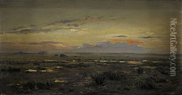 A Landscape (study) Oil Painting - Isaak Levitan