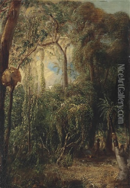 An Australian Rainforest With An Aboriginal Camp, Sulphur-crested Cockatoos, Parakeets And Other Birds In The Canopy Oil Painting - John Thomas Baines