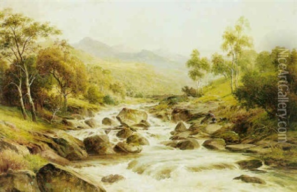 Fishing In Rapids Oil Painting - William E. Harris