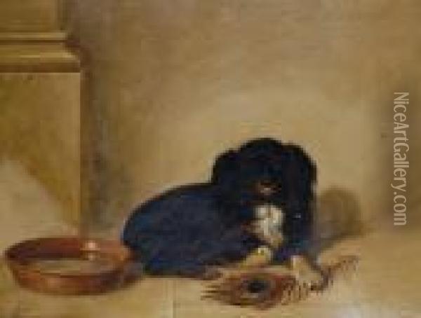 Portrait Of A Spaniel Oil Painting - Landseer, Sir Edwin