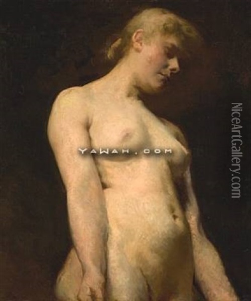 Weibl. Akt (torso) Oil Painting - Signe Scheel