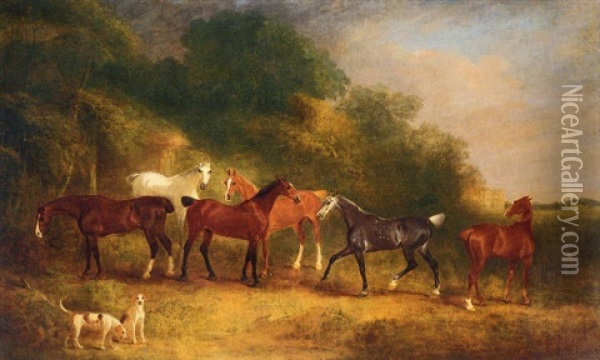 Horses And Hounds In The Grounds Of An Estate Oil Painting - John E. Ferneley