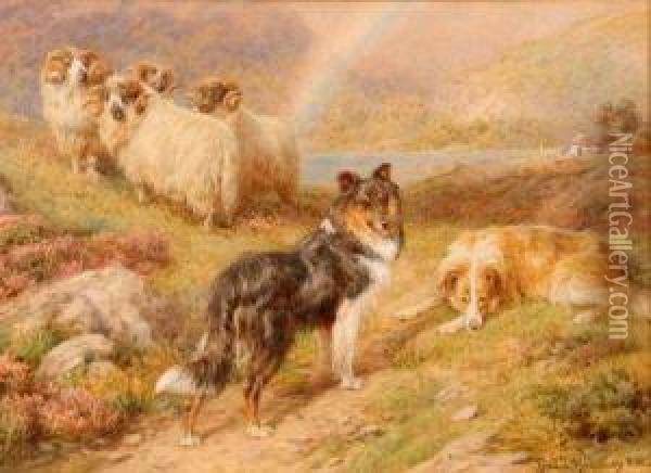 Sheep And Collie Dogs In Highland Setting Oil Painting - Basil Bradley