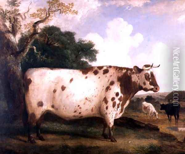 A Shorthorn Bull in a Landscape, 1841 Oil Painting - George Cole, Snr.